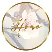 Home-Button